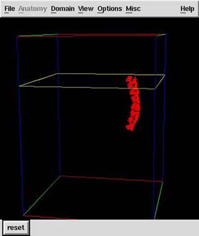 A 3D model of a human embryo