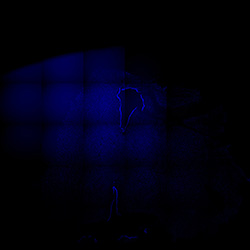 15PCW human midbrain