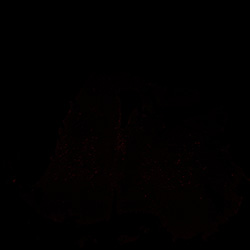 15PCW human midbrain